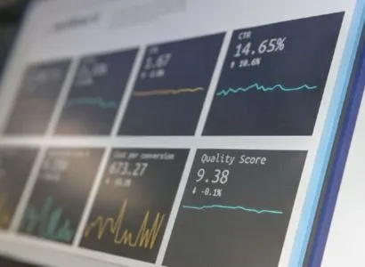 WordPress website case study